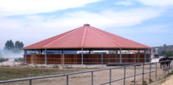 Horse Walker with Full Roof: Capacity for 10 horses